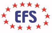 EFS Global
